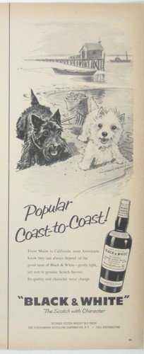 Vintage 1950s black and white - and,