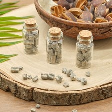 Crinoid Star Fossils In 3