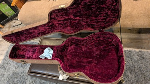 Eastman gypsy jazz archtop - eastman, or