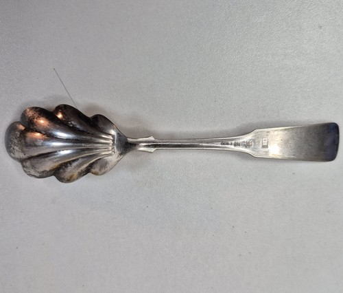 Antique sugar shell spoon - antique,