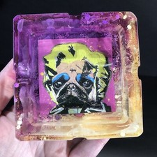 Purple And Yellow Petri