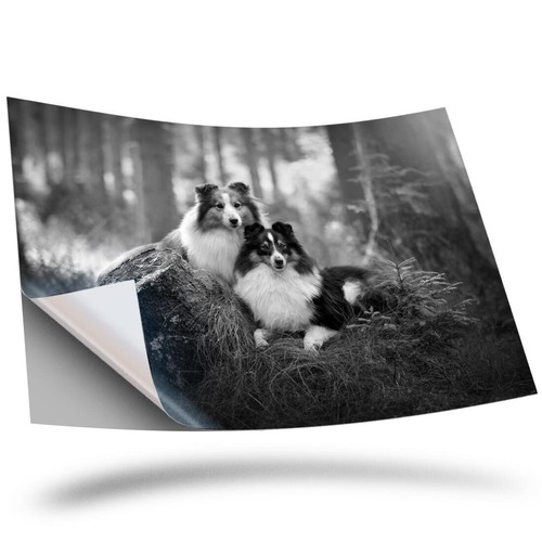 Vinyl sticker bw - vinyl,