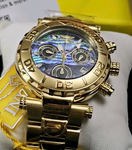 Invicta subaqua noma - -,