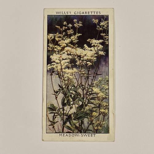 Will cigarette cards - cards., wild