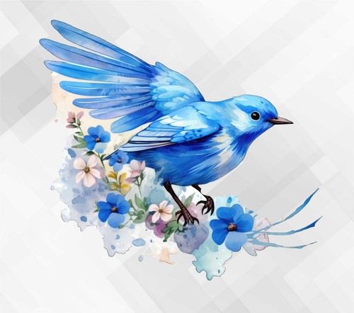 Spring colorful parrots bird - ,