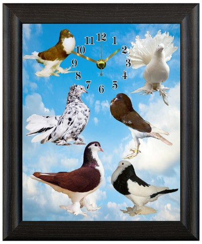 Fancy pigeon gift christmas