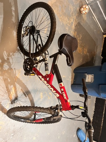 Bike excitor magna - bike,