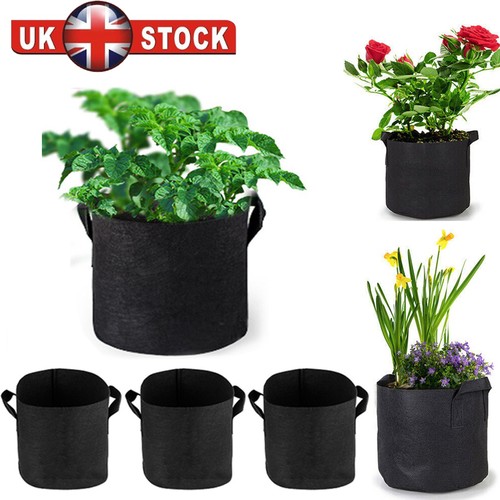 10pack large plant grow - 5/10pack,