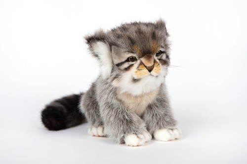 Hansa 7299 pallas kitten grey - hansa,