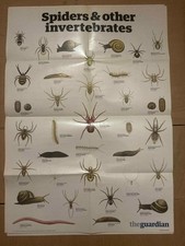 The Guardian Wallchart Poster