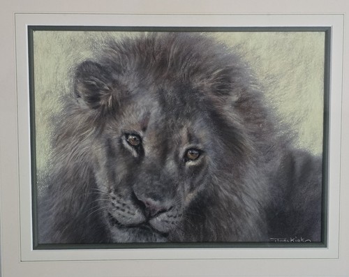 Joel kirk original pastel lion - original,