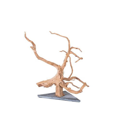 Natural large spider wood - natural,