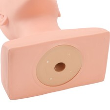 Female Bald Mannequin Head