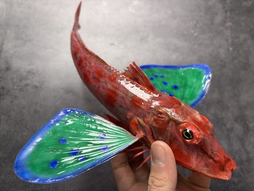 Very rare museum quality red - museum,