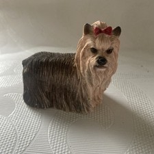  Yorkshire Terrier Vintage