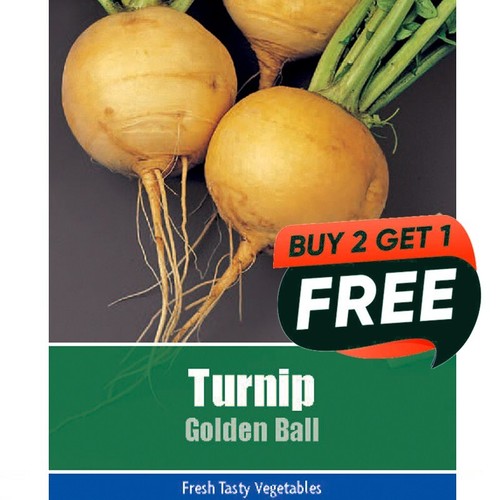 Vegetable seeds turnip - seeds,