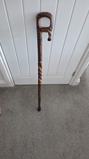 african walking stick ( animal