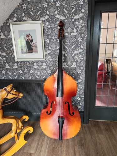 Double bass stentor - double,