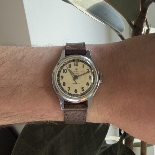 Stylish vintage 1950 - stylish,