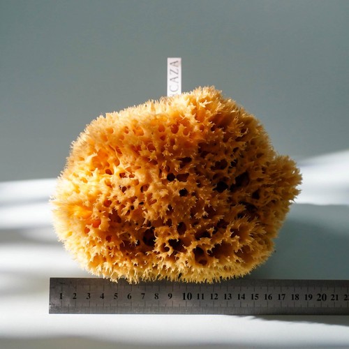 Large natural sponges - large,