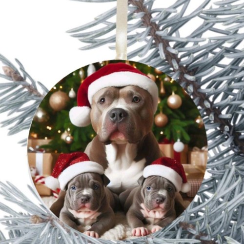 Staffordshire bull terrier dog - staffordshire,