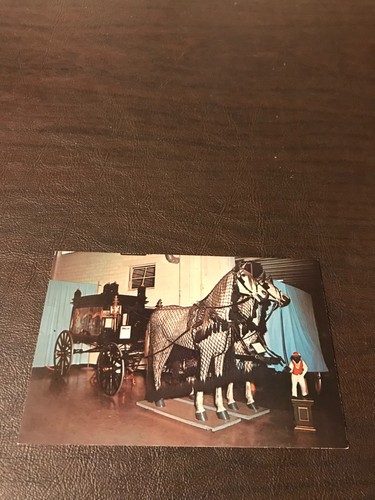 Unposted postcard horse - unposted,