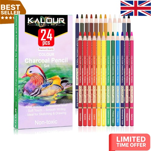 Vibrant pastel charcoal - 24,