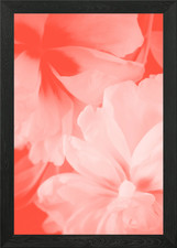 Pastel white flowers and