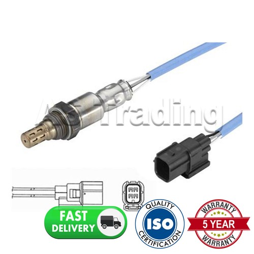 Rear wire oxygen lambda - wire,