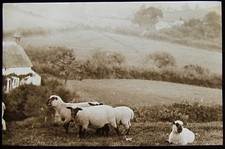 Glass Magic Lantern Slide