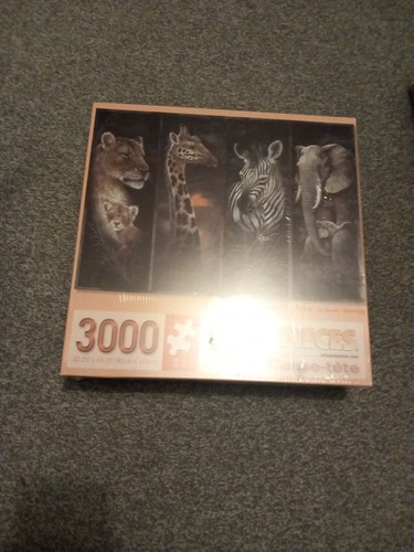 3000 piece puzzle complete set - puzzle,