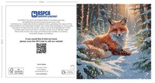 RSPCA Charity Christmas Cards Pack Of 10 Fox In Snow Design 127mm x 127mm