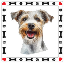 Sporting Lucas Terrier Dog