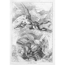 Deer Stalking in Scotland - Antique Print 1883