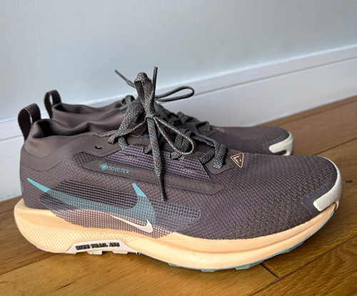 Nike pegasus trail - nike, gore-tex