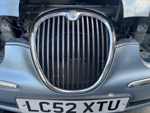 Chrome jaguars radiator grille - radiator,