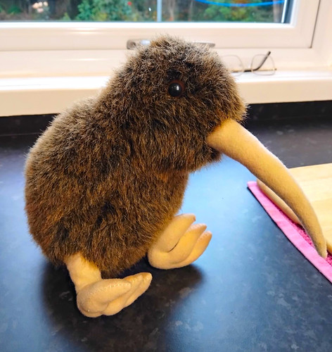 Kiwi bird soft toy - bird, by