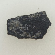 Hadrosaur Egg Shell Fossil -