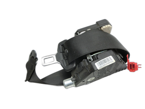 Belt safety seatbelt - safety,