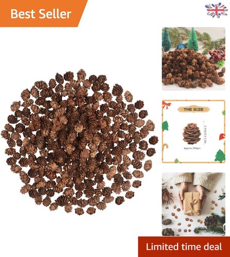 Bulk 200 irregular brown pine - bulk,