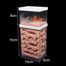 Ant House Ant Farm With Feeding Area Ecological Ant Formicarium Transparent Gift