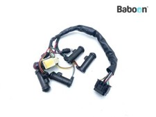 Display Control Lights