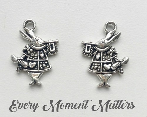 Tibetan silver rabbit - 10, x