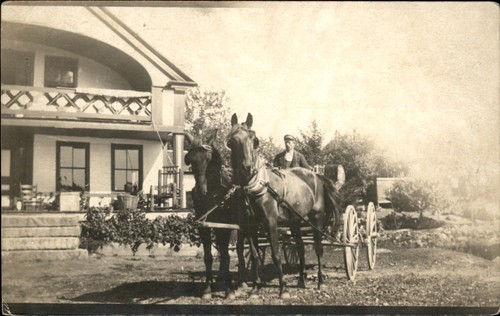 Horse wagon mailed - &,