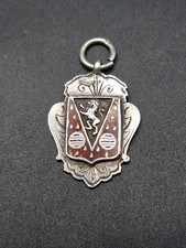 Antique Sterling Silver Enamel