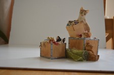 Sherratt & Simpson Cats Moving