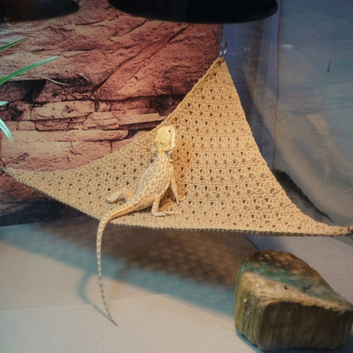 Reptile hammock terrarium - reptile,