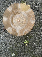Art Deco Frosted Pink Glass Cake Plate on Chrome Stand 
