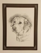 Beautiful Labrador Black and