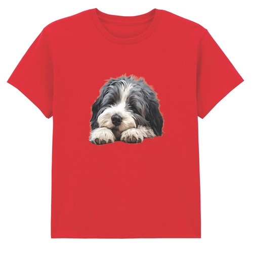 Fluffy dog canine dogs - fluffy,